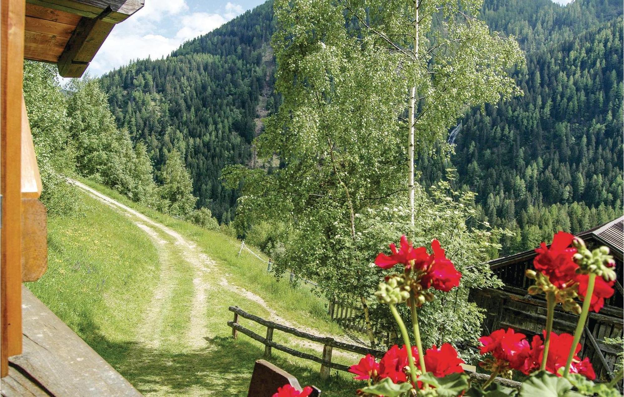 Maso Roncal Villa Peio Dış mekan fotoğraf